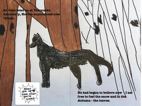 Students at Windsong Heights School have published a book to sponsor the care of Horton the wolfdog. Submitted