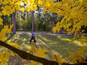 A couple stroll the grounds of the W. Ross  Macdonald School amid colourful trees in Brantford, Ontario.