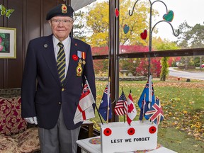 Retired air force veteran Peter Hardwicke shows the Remembrance Day marker he displays in the sunroom of his Brantford apartment containing flags he's been able to collect so far, of allied countries that took part in the Second World War.