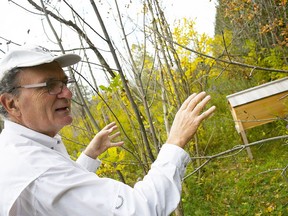 Dr. Henry Svec speaks about one of the bee hives on his property in Blenheim on Oct. 7. Tom Morrison/Chatham This Week