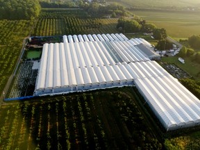 This aerial photo of a suspect greenhouse operation at an undisclosed location in southern Ontario was taken this summer during a major sweep of illegal marijuana production facilities. Health Canada officials discussed abuses of the federal agency’s medical marijuana program with members of Norfolk’s Police Services Board Wednesday. – OPP photo