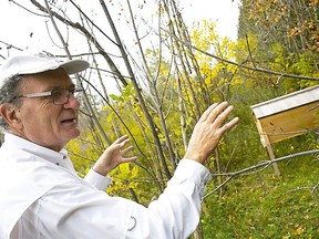 Dr. Henry Svec speaks about one of the bee hives on his property in Blenheim on Oct. 7. Tom Morrison/Postmedia