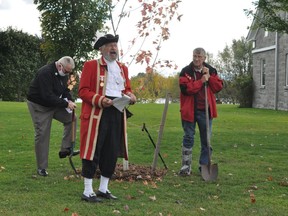 SDG Historical Society past-president and town crier Wes Libbey, as well as directors Bill Beattie and Frank Wilson were on hand for the ceremonial unveiling of the red maple tree on Thursday, October 1, 2020, in Cornwall, Ont. Missing from picture is president Lily Worrall, director Mary Plummadore and treasurer Bonnie Duffy. Francis Racine/Cornwall Standard-Freeholder/Postmedia Network