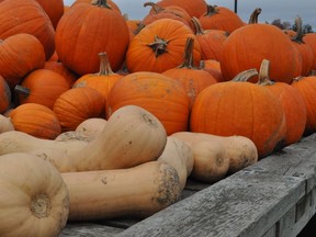 Pumpkins and squash are healthier food choices at this time of year than pumpkin-spiced doughnuts.