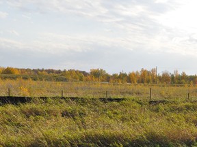 The property is located near the corner of Tenth Street and Industrial Park Drive. Photo taken on Thursday October 15, 2020 in Cornwall, Ont. Francis Racine/Cornwall Standard-Freeholder/Postmedia Network