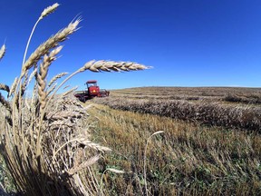 Overall, the agricultural sector has had a better pandemic than some others