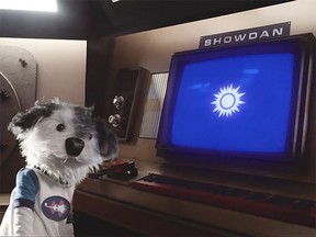 Harmon the Hound is the star of the new children-focused web series "Harmon in Space," which features performances by the Kingston Symphony. The series debuted last week.