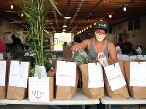 Ayla Fenton, a member of the Memorial Centre Farmers Market board of directors, packs online orders to be handed off to market shoppers in a contactless pickup at the Memorial Centre barns on Sept. 6, 2020.