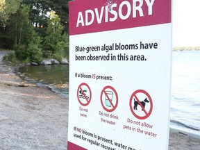A harmful algal bloom (cyanobacteria), also known as blue-green algae, was found in the south shore area of Lake Nipissing, the North Bay Parry Sound District Health Unit reported Oct. 1. Earlier in the week, it reported algal blooms in Commanda Lake and Lake Nosbonsing. Postmedia File Photo