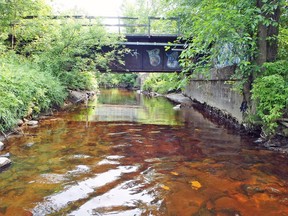 An old ONTC railway bridge over Chippewa Creek, as well as the existing closed pedestrian bridge, will be replaced by a new Kinsmen Trail pedestrian bridge as part of a remediation of the creek at Oak Street. Work will begin this month.
Supplied photo