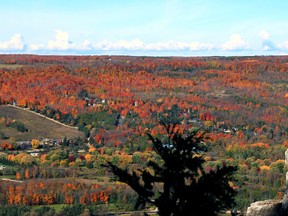 The fall colours in the Beaver Valley were on full display along Old Baldy Lookout Trail near Kimberley, Oct. 14, 2020. Greg Cowan/The Sun Times