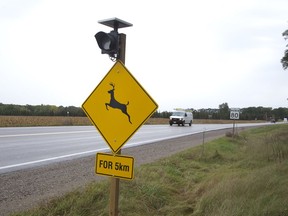A deer collision advisory sign.