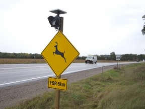 Deer collision advisory signs, like this on Glendon Road at Amiens Road, have been erected as part of the Middlesex County Ontario Provincial Police and the Middlesex Community Policing Committee's  Middlesex Centre Deer Collision Prevention Strategy  in Middlesex Centre. Derek Ruttan/Postmedia Network