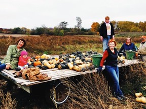 To raise money as part of a capital campaign to support the purchase of a new refrigerated truck for The Local Community Food Centre, food centre volunteers were at Smelski Pumpkin Farm in Shakespeare last week picking pumpkins that will be offered to donors, along with vouchers for the Stratford Chocolate Trail, in exchange for the money locals would normally spend on Halloween treats. (Submitted photo)