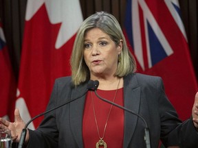 Ontario NDP Leader Andrea Horwath announced the NDP wants to overhaul the long-term care system by building small "family-like" homes for seniors.