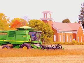 It's mid-October so it's time for the soybeans to come off. Here, Larry Schoffro of Simcoe harvests his field near the intersection of Highway 24 and Highway 6 south of town. A member of the Schoffro crew said yield is good but would have been better had this part of Norfolk received more rain in the spring. (Monte Sonnenberg, Postmedia Network)