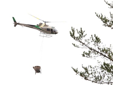 ValeÕs annual aerial seeding program wrapped up on Friday October 2, 2020, near the town of Wahnapitae. Helicopters from Zimmer Air Services applied fertilizer, grass seed and lime over a four-day period. Pioneer Construction provided the staging site for the project. The aerial seeding program targets barren land requiring reclamation around the companyÕs operations. The program, which started in 1990, has treated more than 3,900 hectares (9,650 acres) of land to date. This yearÕs treatment area was about 100 hectares (247 acres). Starting this weekend, Zimmer helicopters will apply lime to an area about one kilometre north of Vale's Copper Cliff central tailings area. John Lappa/Sudbury Star/Postmedia Network