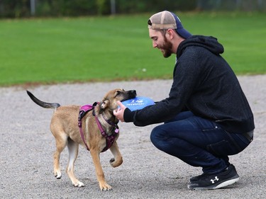 Five-month-old puppy Ellie returns a frisbee for Jesse Mallette at a field in Sudbury on Tuesday.