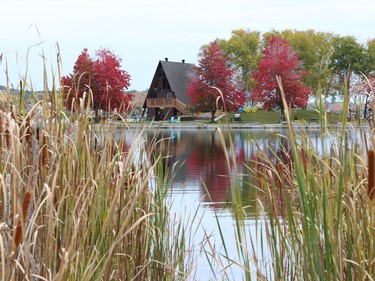 Radiant red foliage at the Sudbury Yacht Club reflects off the surface of Ramsey Lake in Sudbury, Ont. on Friday October 9, 2020. John Lappa/Sudbury Star/Postmedia Network