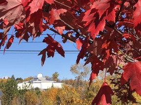 A contrast in seasons: the bright red leaves of a maple tree on the Health Sciences North grounds in fall frame the main snowflake structure at nearby Science North Friday. HAROLD CARMICHAEL/SUDBURY STAR