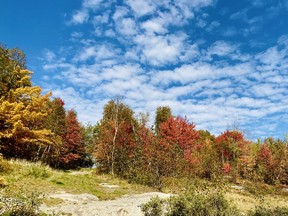 The trees at Kalmo beach were quite flirtatious last September, with their yellows, oranges and reds.