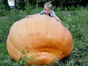 Griffin Willemse, 7, wraps his arms around a 650-pound pumpkin growing in the Forest garden of his grandfather, Harry Willemse. Paul Morden/Postmedia Network