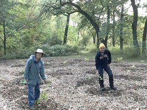 Brenda Lorenz and Mike Kent pose with newly planted pawpaw trees in Canatara Park in Sarnia. The planting project was conducted jointly by the Friends of Canatara and the Sarnia Environmental Advisory Committee, with $800 in funding from Lambton Wildlife. Submitted