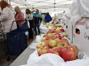 Apple connoisseurs out in full force during last year's Apple Fest in Downtown Timmins.

RICHA BHOSALE/The Daily Press