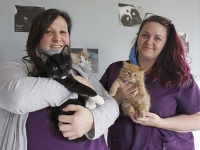 Alicia Santamaria, executive director at the Timmins and District Humane Society, left, snuggles with Uno, while animal control officer Brooke Guillemette is holding Sally. They were at the shelter on Friday and are inviting people to adopt a pet through this year's "Virtually Awesome Adoption Challenge."

RICHA BHOSALE/The Daily Press