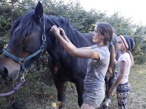 Giroux sisters Sara, 13, and Emma, 11, were grooming one of their horses in preparation for a couple of Halloween-themed events being hosted at Crazy Acres Farm in Iroquois Falls on Oct. 24. 

RICHA BHOSALE/The Daily Press