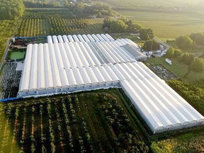 This aerial photo of a suspected greenhouse operation at an undisclosed location in southern Ontario was taken this summer during a major sweep of illegal marijuana production facilities. Health Canada officials discussed abuses of the federal agency's medical marijuana program with members of Norfolk's Police Services Board on Oct. 7.  OPP photo