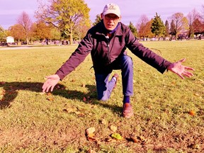 A vehicle damaged two acres of sod in the vacant, west section of Greenwood Cemetery in Waterford in two incidents within the past two weeks. David Douglas of Waterford, vice chair of the Greenwood Cemetery Board, says the culprit needs to look inward and ask some serious questions about themself. – Monte Sonnenberg