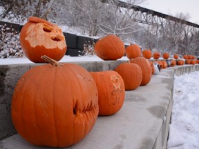 Jack-o'-lanterns greet residents visiting the Community Halloween Fest at the 12 Foot Davis Events Park in Peace River, Alta. on Saturday, Oct. 31, 2020.