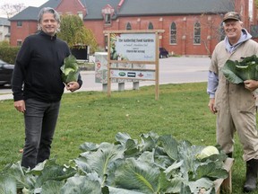 Church Out Serving is finishing up the 2020 harvest with an anticipated 12,000 vegetable servings created for local families in need. Eric Haverkamp, board chair, and Tony Stam, a member of the leadership group, harvested cabbage on Oct. 29. Ashley Taylor/Postmedia Network