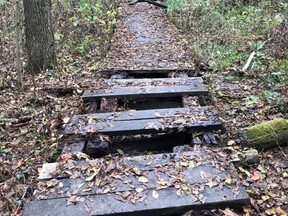 The Ingersoll District Nature Club has started to remove some boardwalk trail at the Lawson Nature Reserve after many of the boards had rotted, likely due to weather and increased use. (Sheila Fleming/Ingersoll District Nature Club)