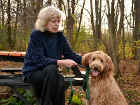 New Hamburg author Nancy Silcox and her golden doodle Rose pose for a photo at the Stratford Dog Park Friday afternoon, just days before Silcox is set to receive the first copy of the second volume of her book series, Workin’ Like a Dog; Doin’ Nuthin’ Like a Cat: Canadian Pets who go to the Office. Galen Simmons/The Beacon Herald/Postmedia Network