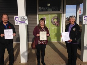 Left to right: Fairview Mayor Gord Macleod, Central Peace-Notley MLA Todd Loewens representative Patricia Woronuk, and MD of Fairview Reeve Peggy Johnson declare  November Family Violence Month in front of New to You Thrift Market in Fairview, Alta.