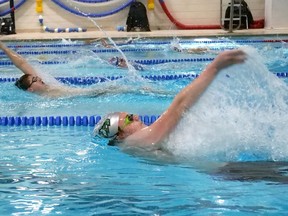 Oxford County area Wilmot Aces swimmers were in the pool preparing for their first virtual swim meet on the weekend. (Chris Abbott/Norfolk & Tillsonburg News)