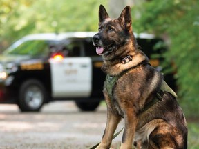 Proceeds from the new OPP Canine Unit Calendar for 2021 will go to programs for disadvantaged youth and the OPP Museum.