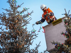 FortisAlberta will trim the three evergreen trees at Sherwood Care on Thursday, Nov. 26. As the lights are turned on, students with the Linking Generations program will hold signs of encouragement and holiday wishes for the seniors outside in the courtyard. Photo courtesy Sergei Belski/FortisAlberta