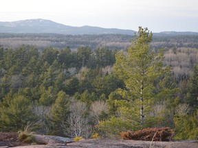 A lookout on the Point Grondine reserve provides a view of the Killarney wilderness.