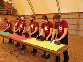Wiarton 4-H Rabbit Club members show off their projects.