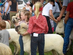 Children show sheep at the 2019 Glencoe Fall Fair. The 2020 edition has been cancelled due to the COVID-19 pandemic. (Supplied)