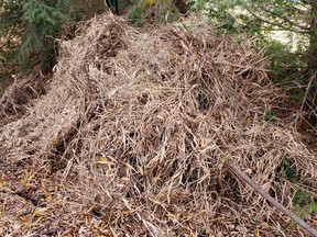 A stolen John Deere tractor was recently found by OPP concealed under a pile of brush near the Exeter lagoons. Handout