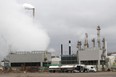 The Chatham Greenfield Global plant on Bloomfield Road in Chatham, Ont. (Ellwood Shreve/Postmedia Network)