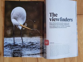 Jayne Primeau of Bright's Grove's photo of a great egret catching a fish from Lake Chipican in Canatara Park is the winner of this year's Cottage Life Magazine photo competition. Handout