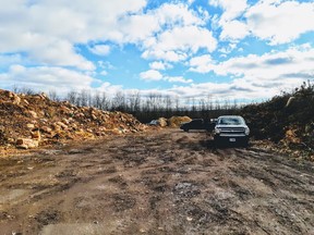 Massive piles of wood, branches and other yard waste have accumulated at Owen Sound's compost site over the years, necessitating this week's large-scale site cleanup.