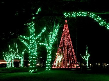 Once the River of Lights kicked off, 75,000 LED lights turned Blockhouse Island into a magical glowing forest with Santa's Workshop nestled in its midst.  The lights were set to music, creating an undulating show of changing colours. (HEDDY SOROUR/Local Journalism Initiative Reporter)