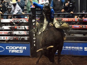 Kindersley, Sask., cowboy Dakota Buttar (shown aboard Just A Jam'n) rides to a score of 86 on the first night of the PBR Canada Finals at Revolution Place on Thursday. Buttar finished tied for second with Lonnie West of Cadogan, both with 172.5 ride points. Zane Lambert from Ponoka and Callum Miller of Australia finished tied for top spot with 173 ride points.