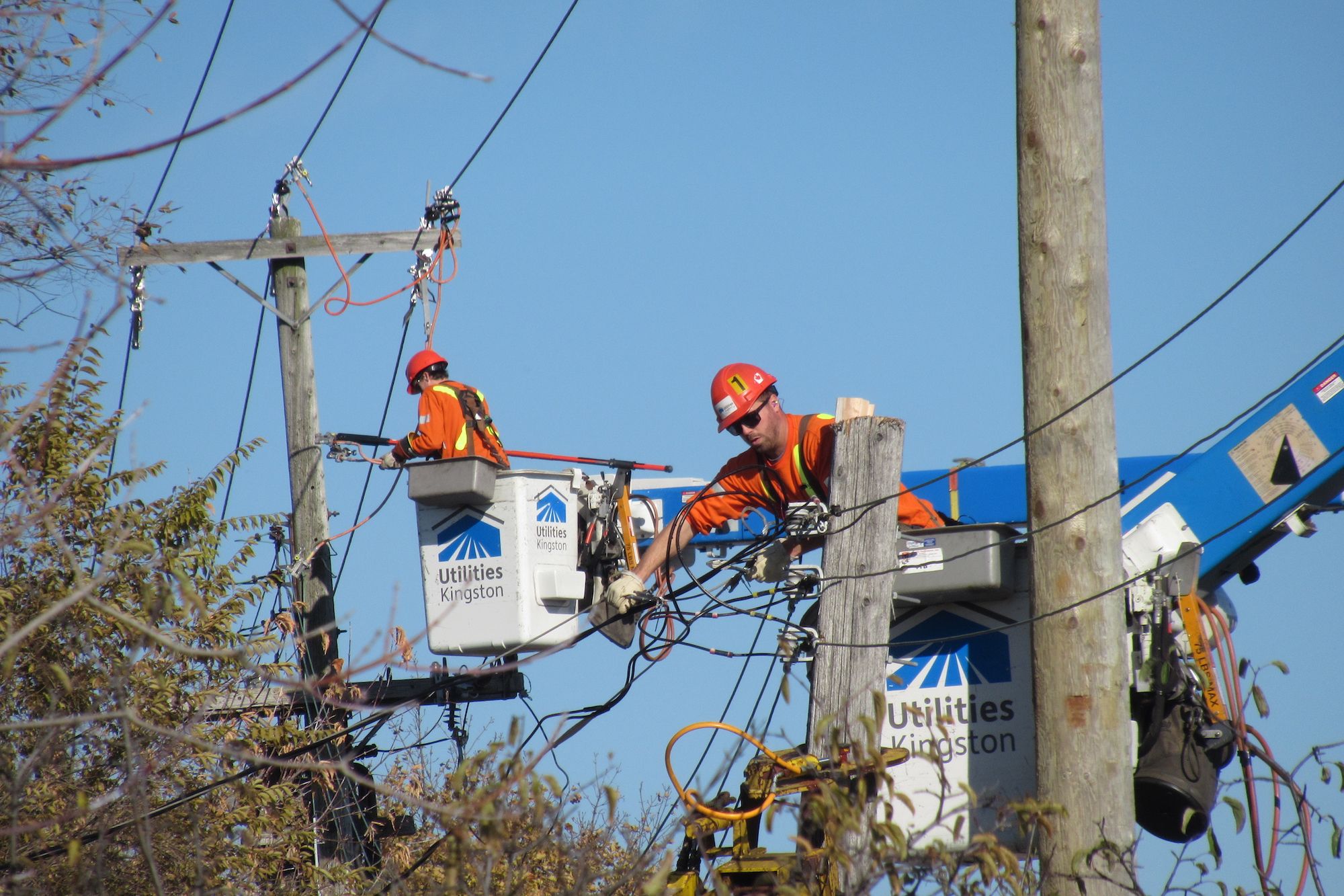 Utilities Kingston's 20th anniversary a year to remember The Kingston